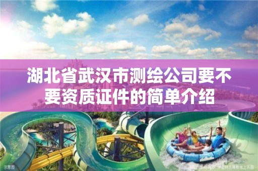 湖北省武汉市测绘公司要不要资质证件的简单介绍