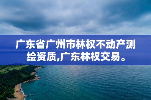 广东省广州市林权不动产测绘资质,广东林权交易。