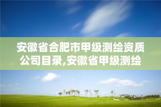 安徽省合肥市甲级测绘资质公司目录,安徽省甲级测绘资质单位。