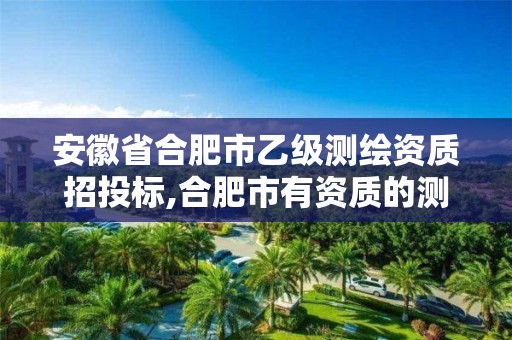 安徽省合肥市乙级测绘资质招投标,合肥市有资质的测绘公司。