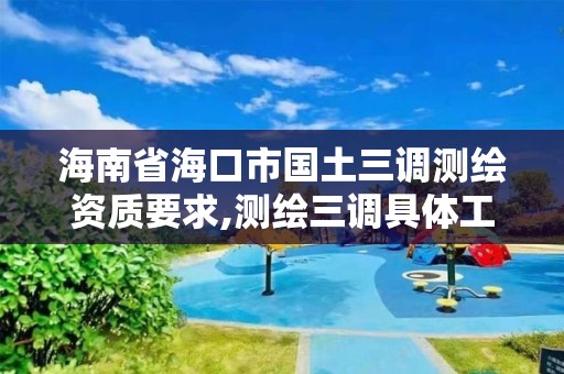 海南省海口市国土三调测绘资质要求,测绘三调具体工作内容。