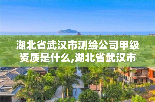 湖北省武汉市测绘公司甲级资质是什么,湖北省武汉市测绘公司甲级资质是什么。