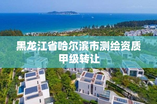 黑龙江省哈尔滨市测绘资质甲级转让