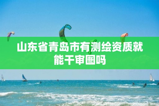 山东省青岛市有测绘资质就能干审图吗