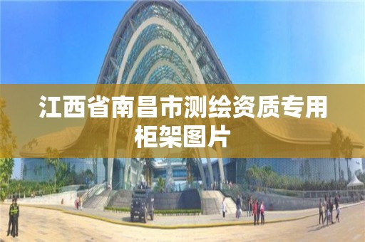 江西省南昌市测绘资质专用柜架图片