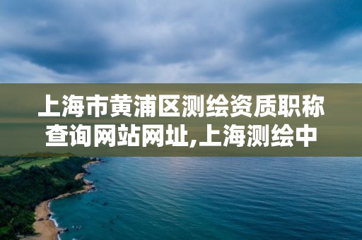 上海市黄浦区测绘资质职称查询网站网址,上海测绘中心。