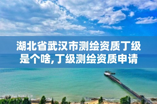 湖北省武汉市测绘资质丁级是个啥,丁级测绘资质申请条件。