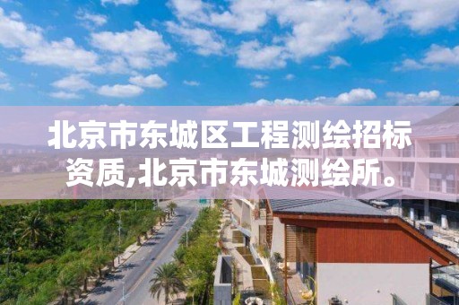 北京市东城区工程测绘招标资质,北京市东城测绘所。