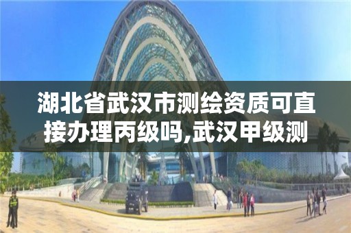 湖北省武汉市测绘资质可直接办理丙级吗,武汉甲级测绘资质名录。