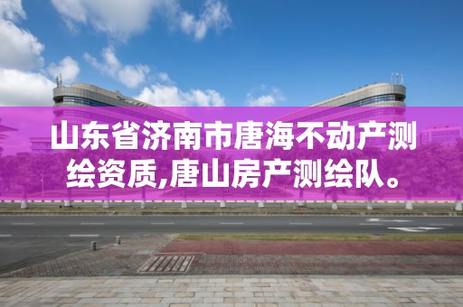 山东省济南市唐海不动产测绘资质,唐山房产测绘队。