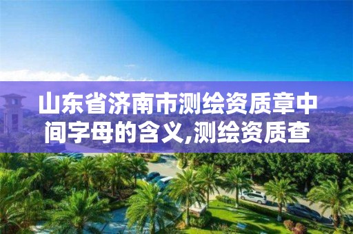 山东省济南市测绘资质章中间字母的含义,测绘资质查询 023dir。