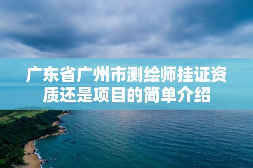 广东省广州市测绘师挂证资质还是项目的简单介绍