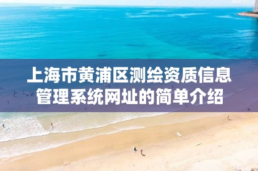 上海市黄浦区测绘资质信息管理系统网址的简单介绍