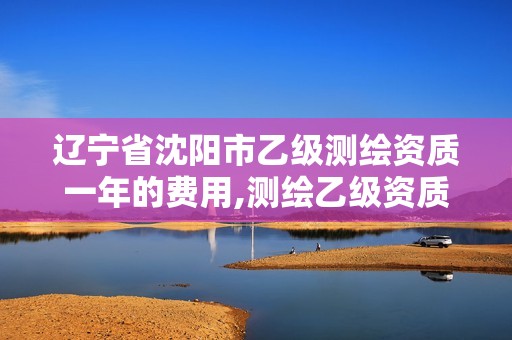 辽宁省沈阳市乙级测绘资质一年的费用,测绘乙级资质多少钱。