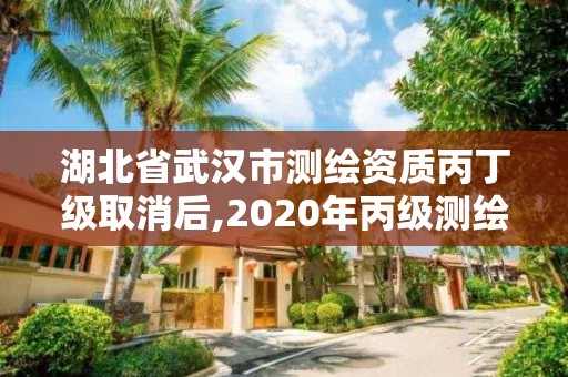 湖北省武汉市测绘资质丙丁级取消后,2020年丙级测绘资质会取消吗。