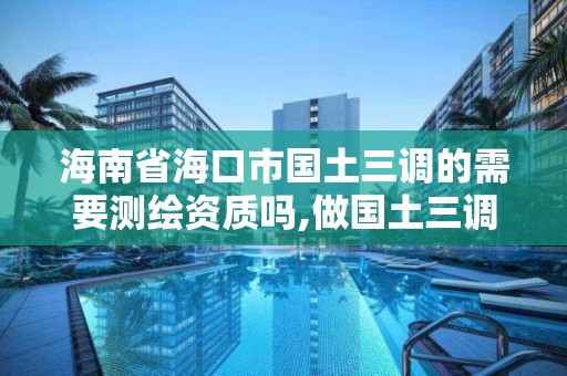 海南省海口市国土三调的需要测绘资质吗,做国土三调项目怎么样。