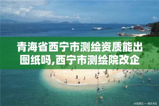 青海省西宁市测绘资质能出图纸吗,西宁市测绘院改企业。