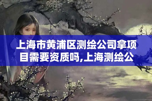 上海市黄浦区测绘公司拿项目需要资质吗,上海测绘公司多吗。