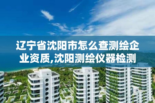 辽宁省沈阳市怎么查测绘企业资质,沈阳测绘仪器检测单位。