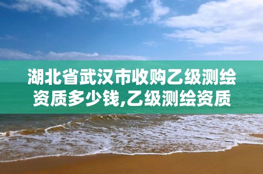 湖北省武汉市收购乙级测绘资质多少钱,乙级测绘资质注册资金是多少。