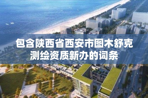 包含陕西省西安市图木舒克测绘资质新办的词条