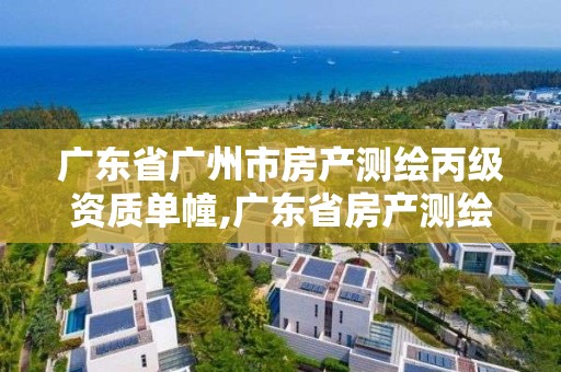 广东省广州市房产测绘丙级资质单幢,广东省房产测绘实施细则。