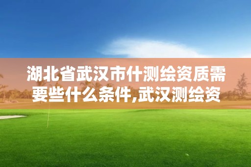 湖北省武汉市什测绘资质需要些什么条件,武汉测绘资质代办。