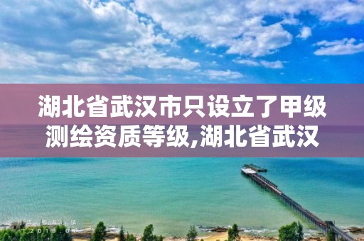 湖北省武汉市只设立了甲级测绘资质等级,湖北省武汉市只设立了甲级测绘资质等级吗。