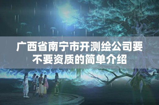 广西省南宁市开测绘公司要不要资质的简单介绍