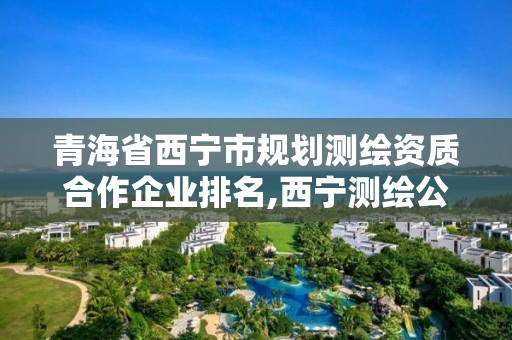 青海省西宁市规划测绘资质合作企业排名,西宁测绘公司联系方式。