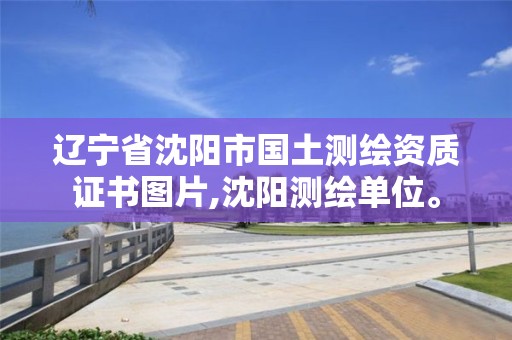 辽宁省沈阳市国土测绘资质证书图片,沈阳测绘单位。