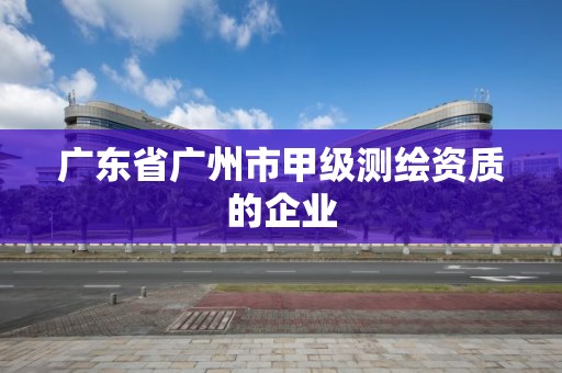 广东省广州市甲级测绘资质的企业