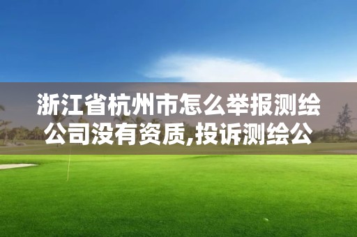 浙江省杭州市怎么举报测绘公司没有资质,投诉测绘公司电话。