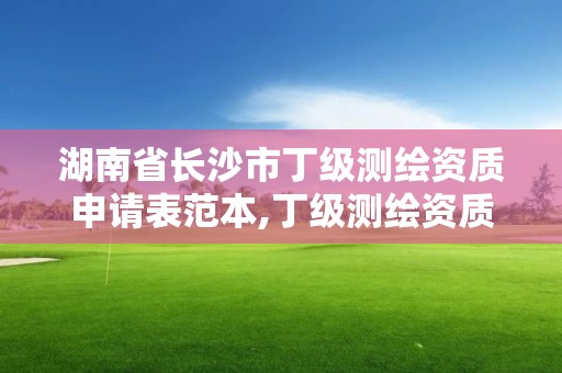 湖南省长沙市丁级测绘资质申请表范本,丁级测绘资质要求。