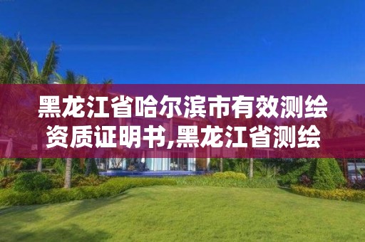 黑龙江省哈尔滨市有效测绘资质证明书,黑龙江省测绘资质延期通知。