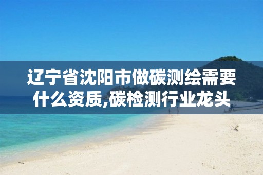 辽宁省沈阳市做碳测绘需要什么资质,碳检测行业龙头。