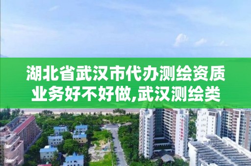 湖北省武汉市代办测绘资质业务好不好做,武汉测绘类公司。