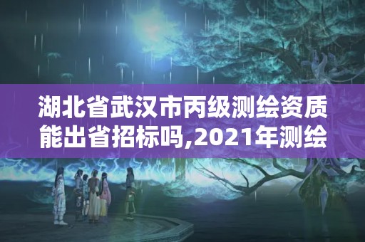 湖北省武汉市丙级测绘资质能出省招标吗,2021年测绘丙级资质申报条件。