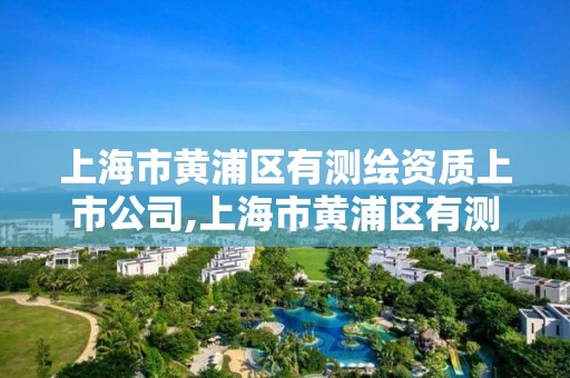 上海市黄浦区有测绘资质上市公司,上海市黄浦区有测绘资质上市公司吗。