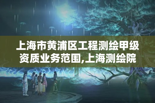 上海市黄浦区工程测绘甲级资质业务范围,上海测绘院地址浦东。