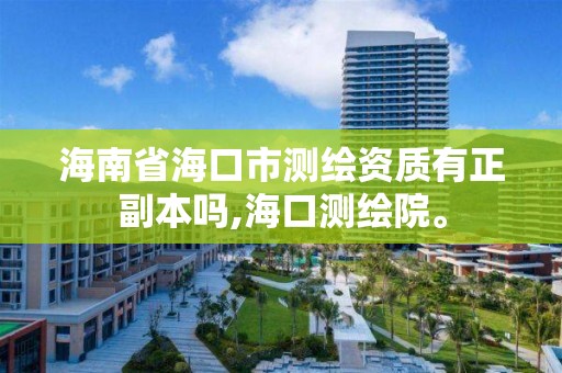 海南省海口市测绘资质有正副本吗,海口测绘院。