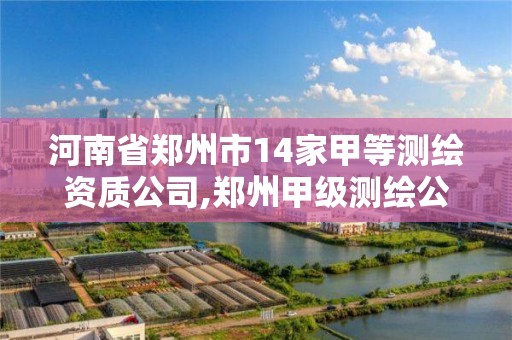 河南省郑州市14家甲等测绘资质公司,郑州甲级测绘公司。