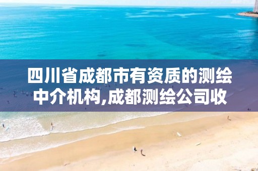 四川省成都市有资质的测绘中介机构,成都测绘公司收费标准。