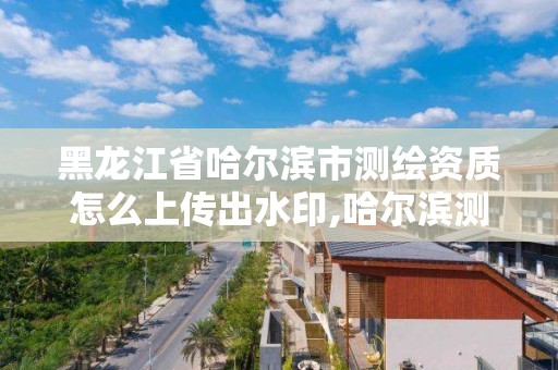 黑龙江省哈尔滨市测绘资质怎么上传出水印,哈尔滨测绘局是干什么的。