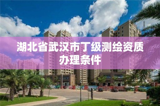 湖北省武汉市丁级测绘资质办理条件