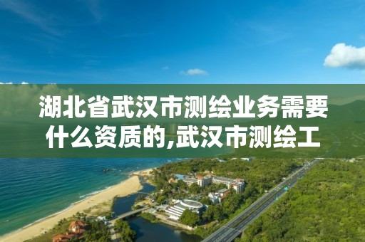 湖北省武汉市测绘业务需要什么资质的,武汉市测绘工程技术规定。