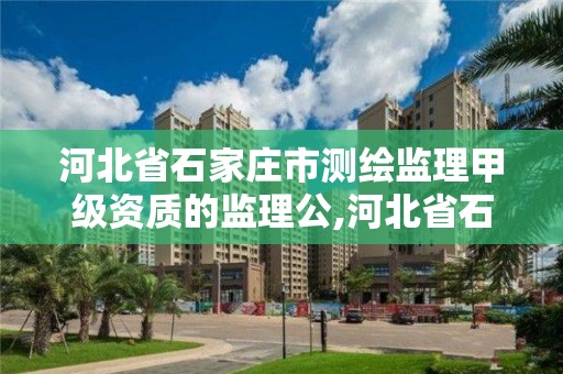 河北省石家庄市测绘监理甲级资质的监理公,河北省石家庄市测绘监理甲级资质的监理公司有哪些。