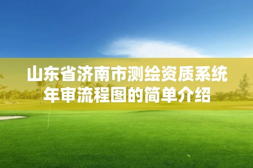 山东省济南市测绘资质系统年审流程图的简单介绍