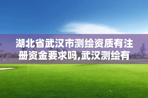 湖北省武汉市测绘资质有注册资金要求吗,武汉测绘有限公司。