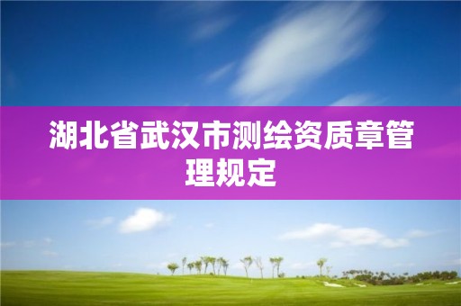 湖北省武汉市测绘资质章管理规定